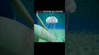 How to survive jellyfish 🪼 bite [upl. by Lorelei]