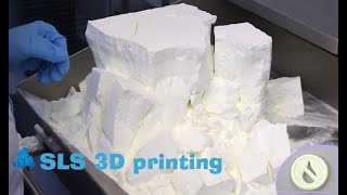 SLS 3D printing technology [upl. by Nrojb]