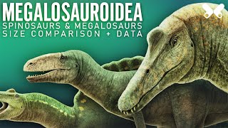 SPINOSAURS and other MEGALOSAUROIDS  Dinosaurs size comparison and data [upl. by Ylyl]