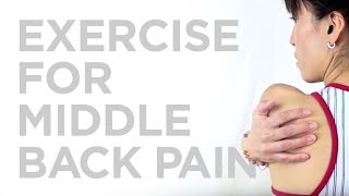 Best Exercise For Middle Back Pain And Toned Back At The Same Time [upl. by Uno]