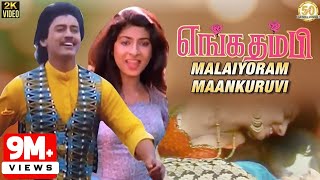 Enga Thambi Tamil Movie Songs  Malaiyoram Maankuruvi Video Song  Mano  Minmini  Ilaiyaraaja [upl. by Nnyllatsyrc]