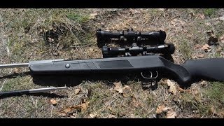 Beeman Dual Caliber Air Rifle  How to Easily Site in Both Barrels [upl. by Suraved]