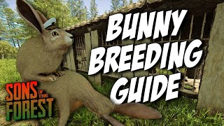 Quick Rabbit Breeding Tips  Sons of the Forest  How To Tutorial [upl. by Eanad]