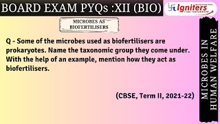 Some of the microbes used as biofertilisers are prokaryotes Name the taxonomic group they come u [upl. by Imailiv]