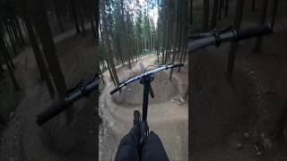 Mountain Bike trail of dreams 🤩 mountainbike mtb biker pov slopeduro [upl. by Himelman]