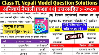 Class 11 Nepali Model Question Solution 2080 Board Exam  Nepali Solution Grade 11  नेपाली [upl. by Virgin]