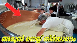 Butter and Cheese Factory  സ്വാദിഷ്ടമായ വെണ്ണയും ചീസും ഫാക്ടറിയിൽ ഉണ്ടാക്കിയെടുക്കുന്നത് കണ്ടാലോ [upl. by Asillam]