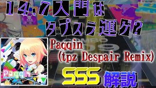 【CHUNITHM解説】Paqqin tpz Despair RemixSSS解説 [upl. by Zuleika]