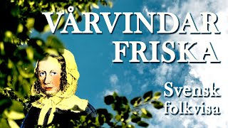 quotVårvindar friskaquot  Traditionell svensk folkvisa tolkad av vissångaren William Sundman Sääf [upl. by Cheney548]