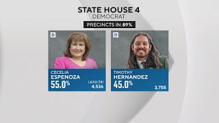 Progressive incumbents in State House elections defeated in Dem primary [upl. by Luciana]