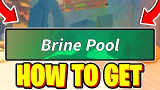 How To FIND BRINE POOL LOCATION In Fisch Roblox [upl. by Leftwich]