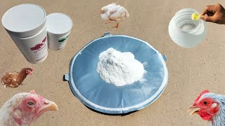 Amoxicillin and Colistin for Chickens  Antibacterials for Poultry  Dr ARSHAD [upl. by Eidnak]