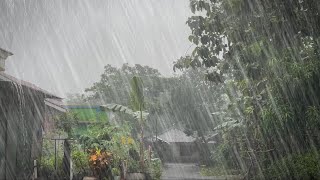 Best rain sounds for insomnia sleeping within 10 minutes relax sleep super heavy rain in rural life [upl. by Ytsud]