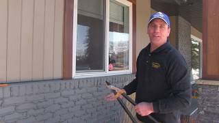 Pruning Karl foerster feather reed grass  Chinook landscaping Calgary [upl. by Nerot]