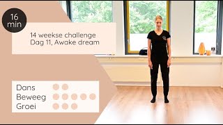 Dans Beweeg Groei  Dag 11 Awake Dream [upl. by Akiam]