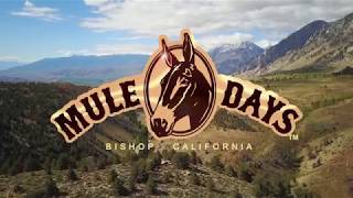 Bishop Mule Days Celebration [upl. by Finny]