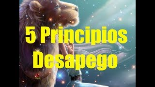 Los 5 principios del desapego para nuestra salud emocional  Ciencia del Saber [upl. by Thorsten759]