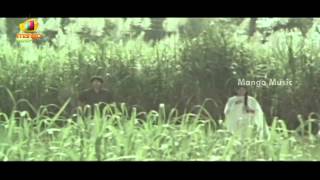 Seetharamaiah Gari Manavaralu Telugu Movie  Poosindi Poosindi Song  Meena  ANR [upl. by Decamp]