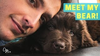 MEET MY BEAR PUPPY  Health Benefits of Having a Dog  Doctor Mike [upl. by Kitti]