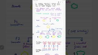 Mendels Dihybrid Cross  dihybridcross shorts biology [upl. by Gustafson]