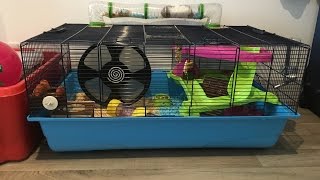 Savic Hamster Heaven Metro Cage Tour and Goodie Box Tour  Featuring Wilbur [upl. by Aviva916]