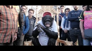 PNL  DA Clip Officiel [upl. by Yardley162]