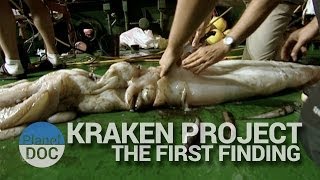 Kraken Project The first finding  Nature  Planet Doc Full Documentaries [upl. by Adela]