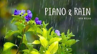 Rain Sounds amp Relaxing Music 247  Piano Music Sleep Study Yoga Stress Relief Meditation [upl. by Eissirk]