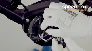 eBike Tuning SpeedBox For Shimano E8000 Installation Instruction NEW [upl. by Digirb559]