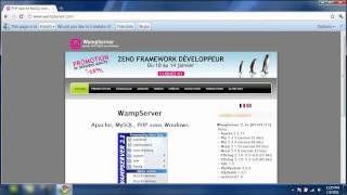 WampServer 21 Installation Tutorial In 4 Minutes [upl. by Derdle699]