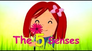 The 5 Senses  Toyor Baby English [upl. by Whyte]