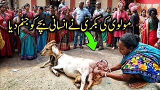 Molvi Ki Bakri Ne insan ka baccha paida Kiya per kaise  Goat gives Birth to Human Baby [upl. by Polly]