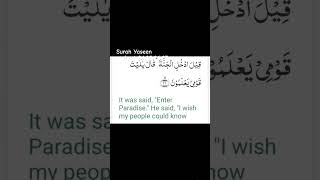 surah Yaseen with English translation allahuakbar alhumdulillah shorts translation ytshorts [upl. by Jackelyn]