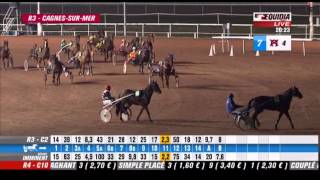 REUNION PMU pick 5  Prix des Gorges du Verdon  CAGNES SUR MER [upl. by Riddle]