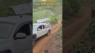 Las rutas de los Cafetaleros de Honduras 🇭🇳 [upl. by Nylekoorb]