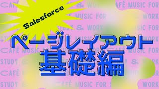 Salesforce ページレイアウトの設定方法 基礎編 項目移動 [upl. by Oznerol]