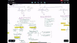 Easiest way to remember CELL INJURY  Apoptosis Necrosis etc  NEETPG INICET FMGE [upl. by Lotta309]