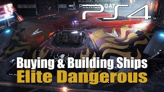 Elite Dangerous  Buying amp Building Ships For Beginners [upl. by Orlando450]