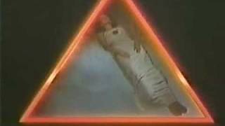 The Phoenix TV Series Intro 1982 [upl. by Bedad]