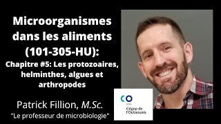 Chapitre 5 Microorganismes eucaryotes Microorganismes dans les aliments 101305HU [upl. by Vida]