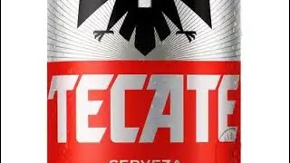 Tecate beer review [upl. by Boleyn288]