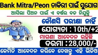 All Odisha Jobs  Panjayat Recruitment 2024 Apply Degree  12th Passed New Govt Jobs [upl. by Ainessey]