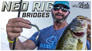 Ned Rig Bass on Bridges with Gerald Swindle [upl. by Josh]