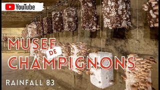 Visite du Musée de Champignons à Saumur [upl. by Nylaret]