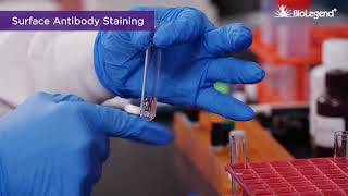 Surface and Intracellular Cytokine Staining for Flow Cytometry [upl. by Nahraf]