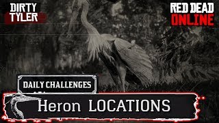 Heron RDR2 Locations Red Dead Online Daily Challenges [upl. by Sajovich]