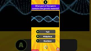 What part of the sperm contains the genetic material [upl. by Amsed]