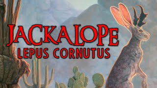 JACKALOPE Lepus Cornutus  Criptozoologia [upl. by Onaivlis]