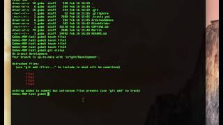 GiT Lab 12 Remove local untracked files from my current GiT branch [upl. by Oxford63]