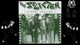 the Selecter  What a Botheration [upl. by Aleece710]